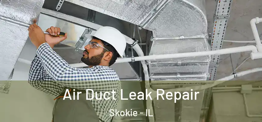 Air Duct Leak Repair Skokie - IL