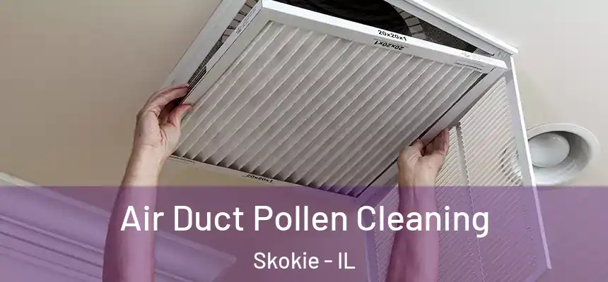  Air Duct Pollen Cleaning Skokie - IL