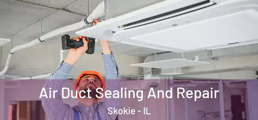 Air Duct Sealing And Repair Skokie - IL
