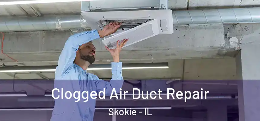  Clogged Air Duct Repair Skokie - IL