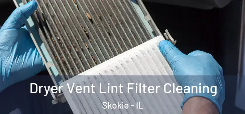  Dryer Vent Lint Filter Cleaning Skokie - IL