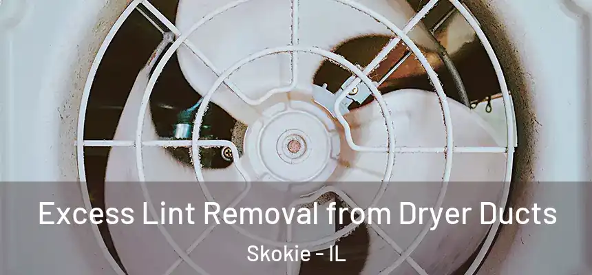 Excess Lint Removal from Dryer Ducts Skokie - IL