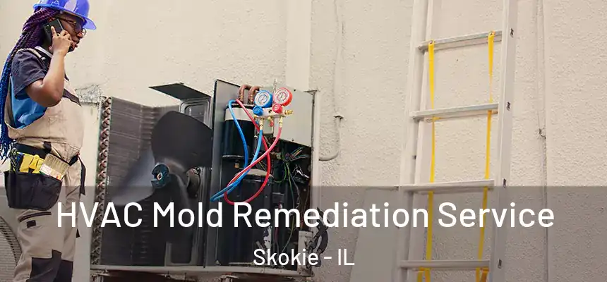  HVAC Mold Remediation Service Skokie - IL
