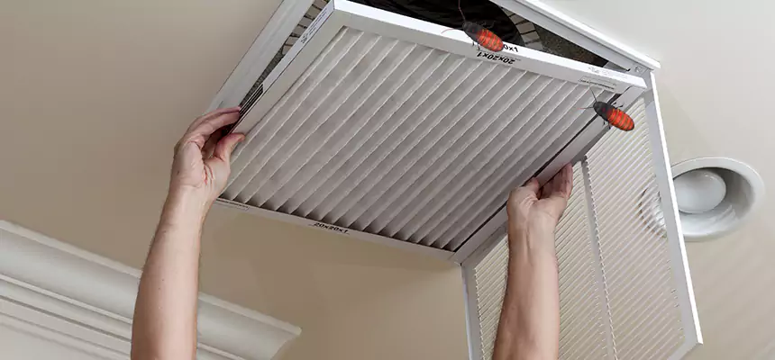 Preventive Cockroach-Proofing for Ducts in Skokie