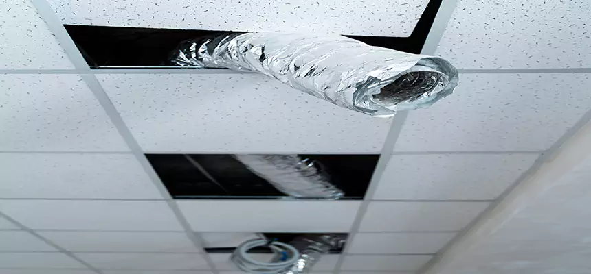 Our Air Duct Pet Hair Removal Services in Skokie, IL