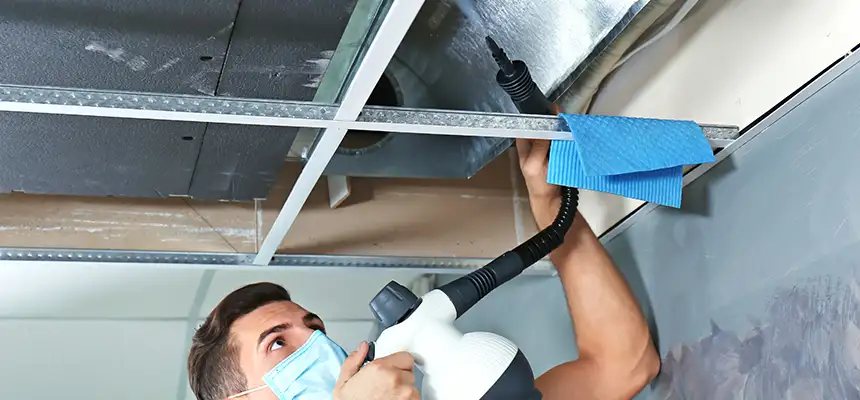 Our Air Duct Rodent Removal Services in Skokie, IL