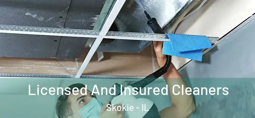 Licensed And Insured Cleaners Skokie - IL