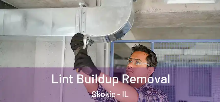  Lint Buildup Removal Skokie - IL