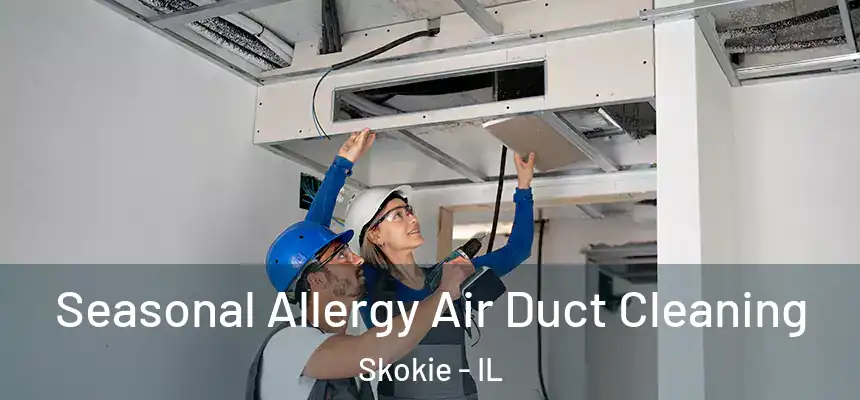 Seasonal Allergy Air Duct Cleaning Skokie - IL