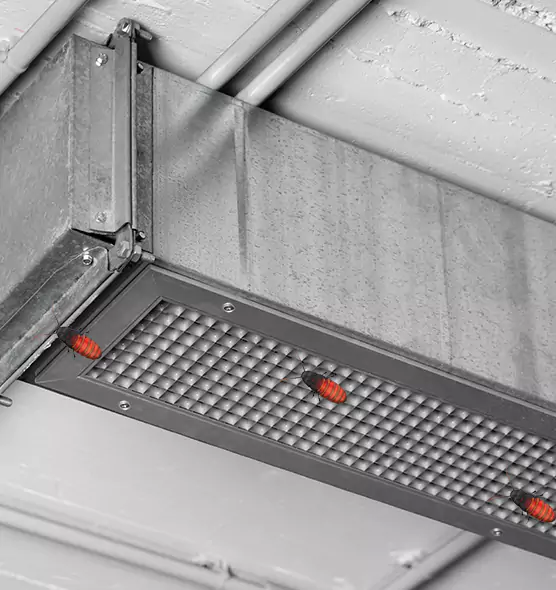 Affordable Insect Removal from Air Ducts in Skokie, IL