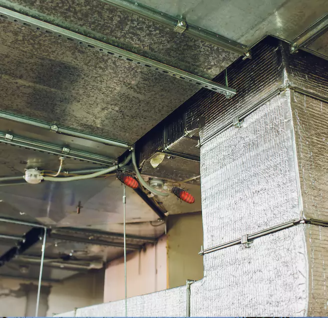 Why Homeowners & Businesses Trust Us in Skokie, IL?