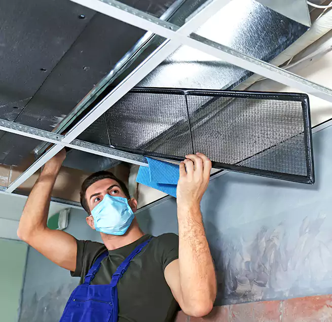 Why Homeowners Businesses Trust Us in Skokie, IL