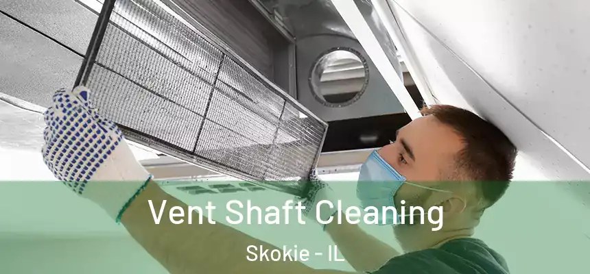  Vent Shaft Cleaning Skokie - IL